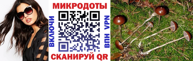 Купить  Подольск  Псилоцибиновые грибы Magic Shrooms 